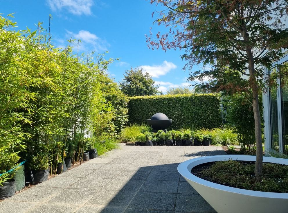 Formal garden path with clipped hedging, a planter and layered beds under open sky